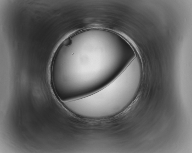 X0000099461341200805090740