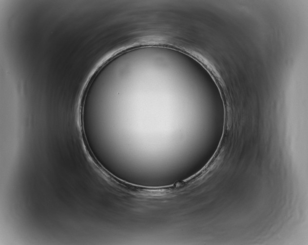 X0000099461342200805090740