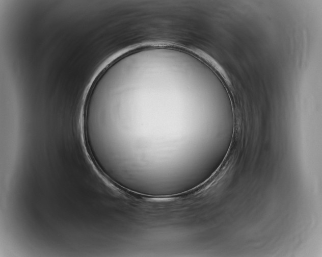 X0000099461343200805090740