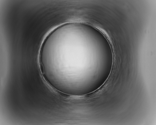 X0000099461344200805090740