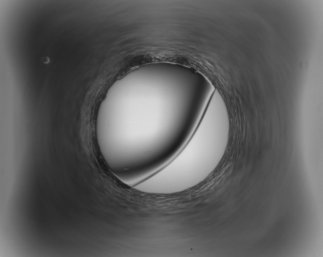X0000099461345200805090739