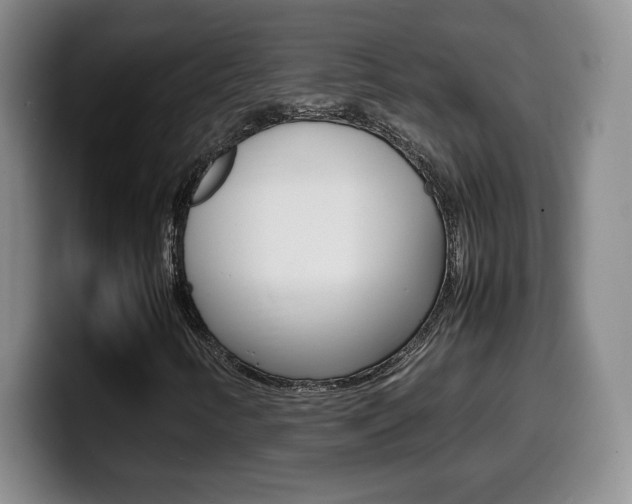 X0000099461346200805090739