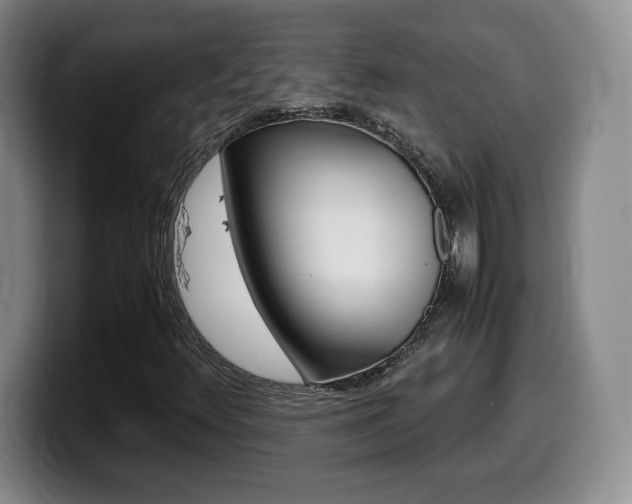 X0000099461348200805090739