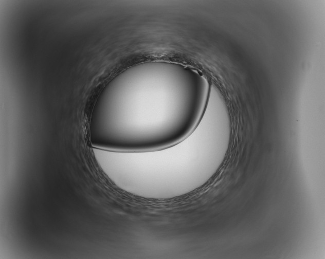 X0000099461349200805090739