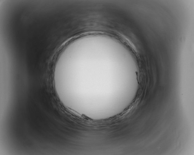 X0000099461352200805090739