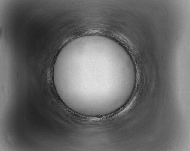 X0000099461353200805090739