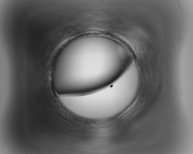 X0000099461355200805090739