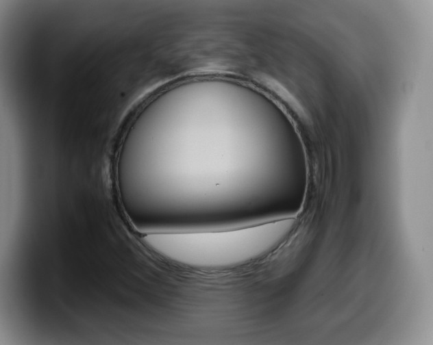 X0000099461356200805090739