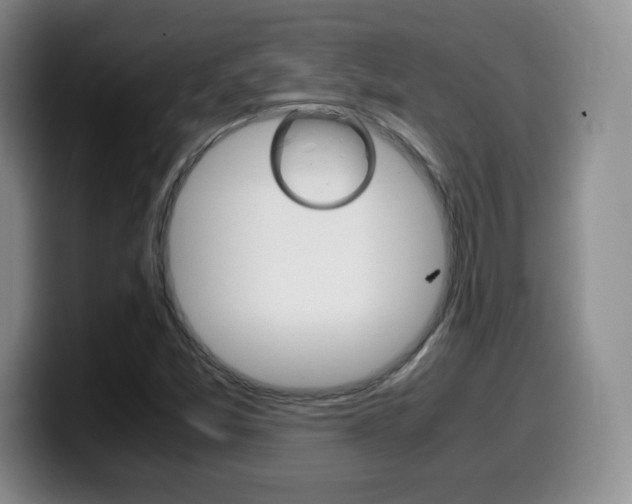 X0000099461357200805090739
