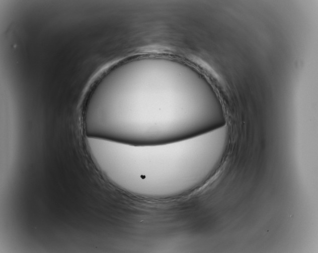 X0000099461358200805090739