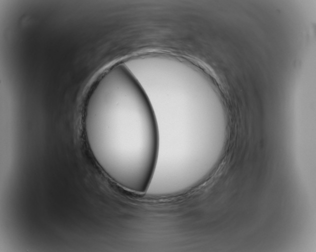 X0000099461359200805090739
