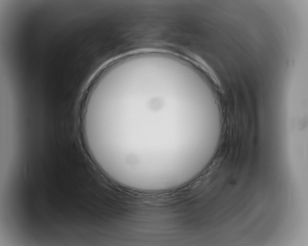 X0000099461360200805090739