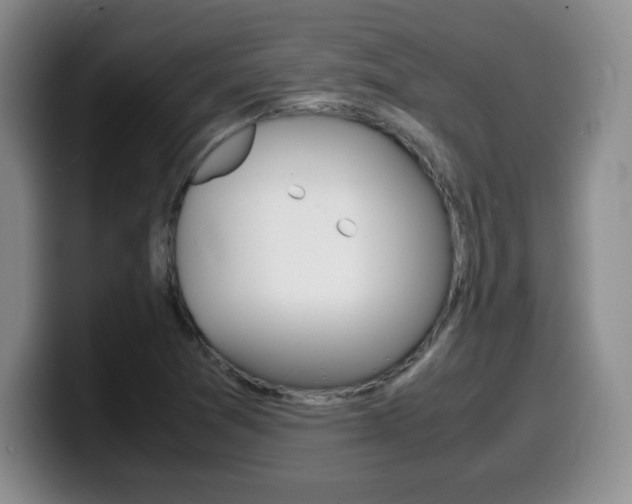 X0000099461361200805090739