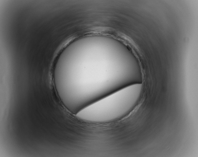 X0000099461362200805090739