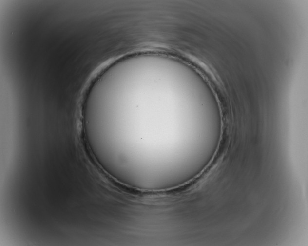 X0000099461363200805090739