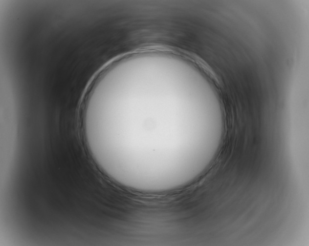 X0000099461364200805090739