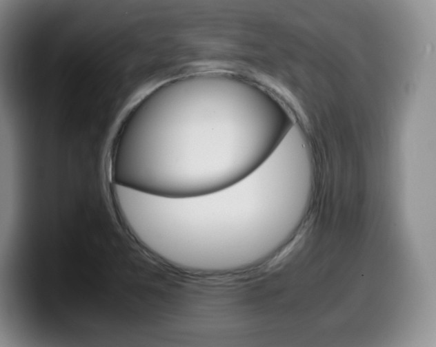 X0000099461365200805090739