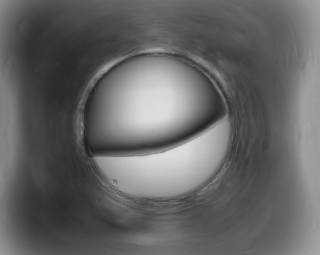 X0000099461367200805090739