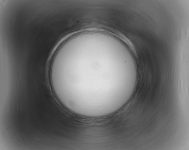 X0000099461368200805090739