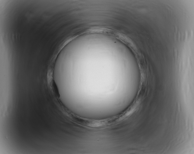 X0000099461369200805090739