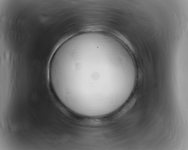 X0000099461370200805090739