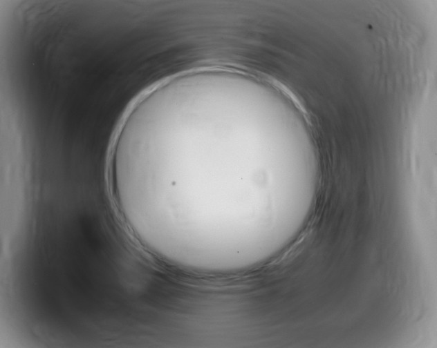 X0000099461371200805090739