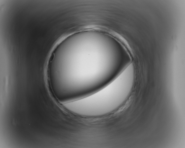 X0000099461373200805090739