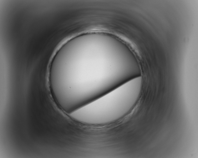 X0000099461374200805090739
