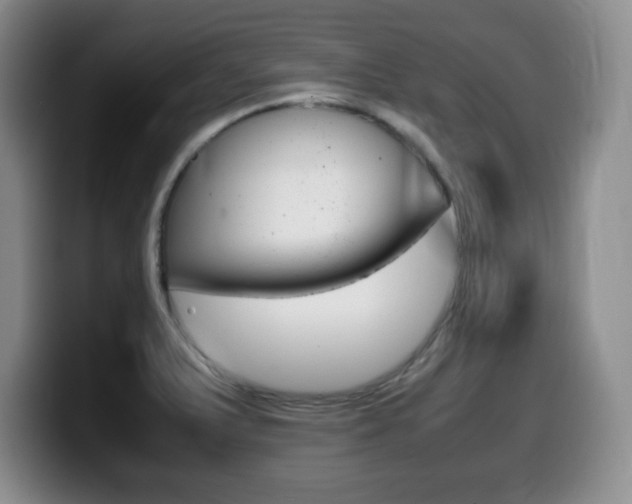 X0000099461375200805090739