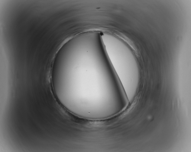 X0000099461377200805090739