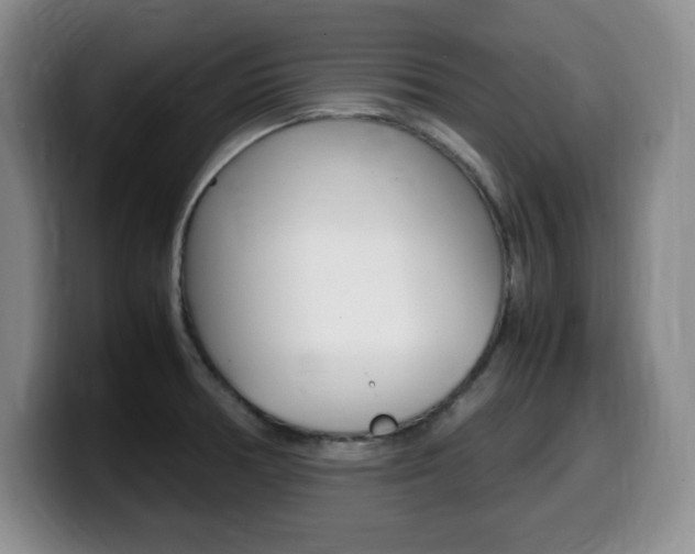 X0000099461378200805090739