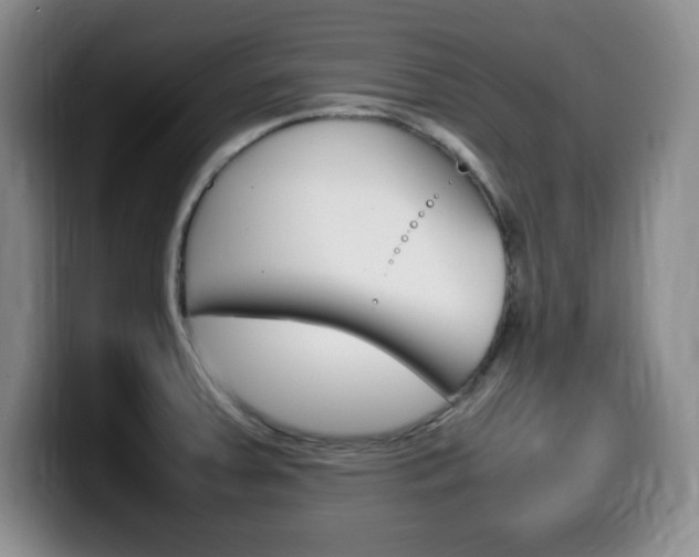 X0000099461379200805090739
