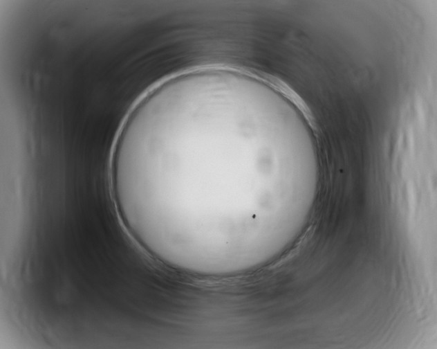 X0000099461380200805090739
