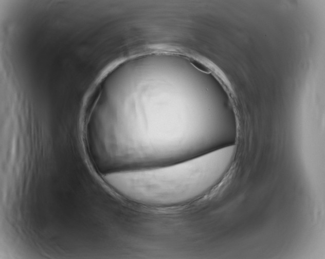 X0000099461381200805090739