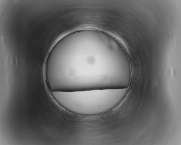 X0000099461382200805090739
