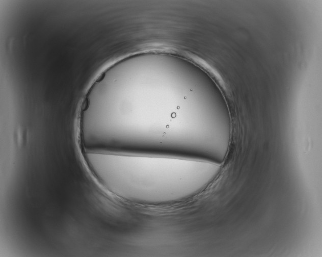 X0000099461383200805090739