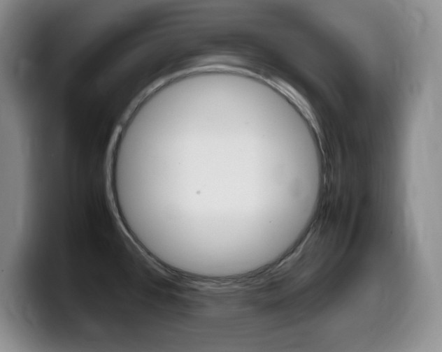 X0000099461384200805090739