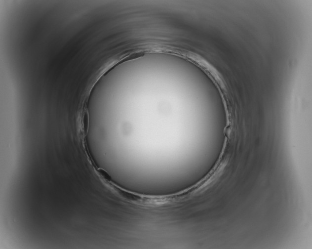 X0000099461385200805090739