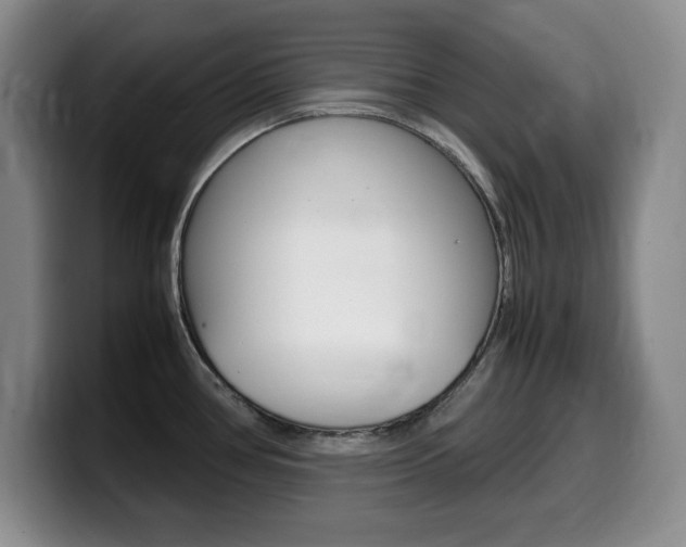 X0000099461386200805090739