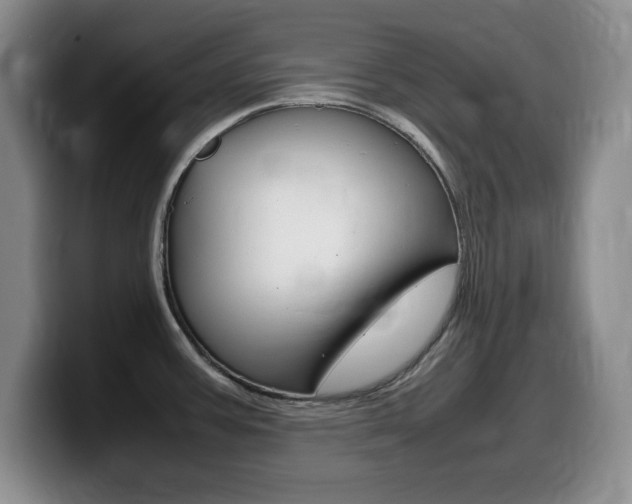 X0000099461387200805090739