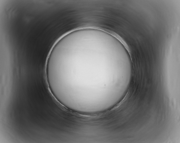 X0000099461388200805090739