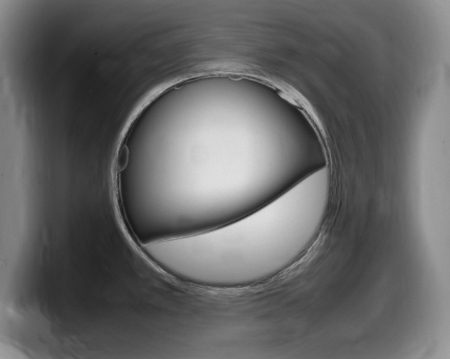 X0000099461389200805090739