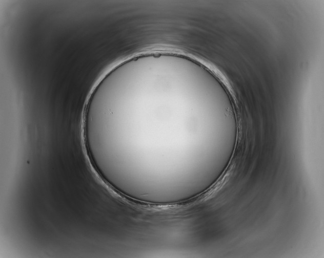 X0000099461390200805090738