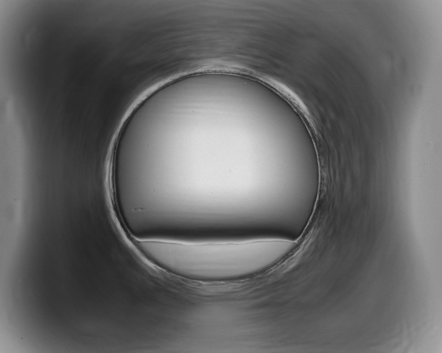 X0000099461391200805090738