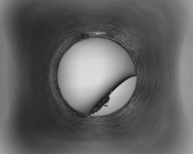 X0000099461393200805090738