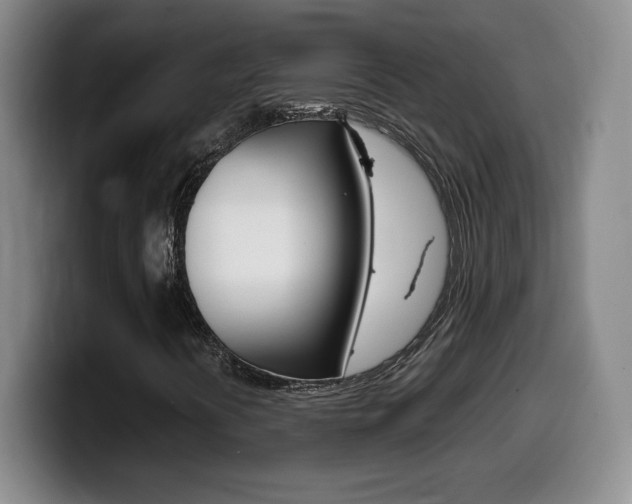 X0000099461394200805090738