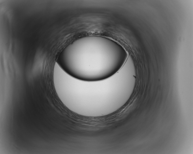 X0000099461396200805090738