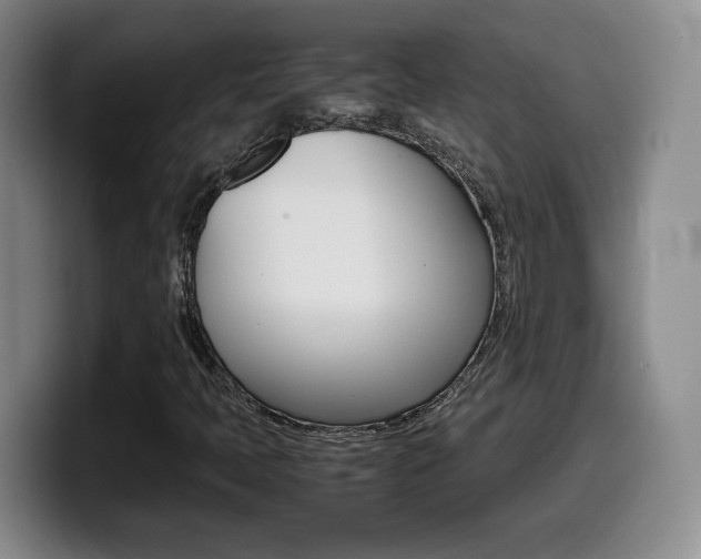 X0000099461397200805090738