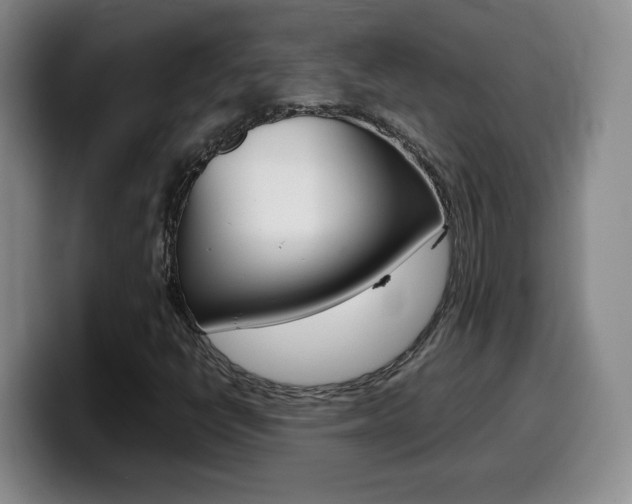 X0000099461398200805090738