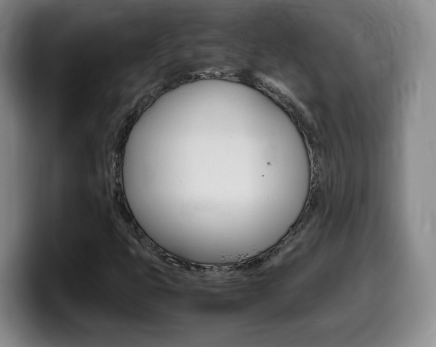 X0000099461399200805090738